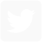 ico twitter blc